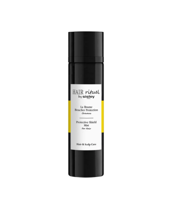 1 - La Brume Bouclier Protection