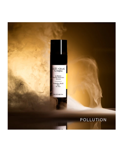 2 - La Brume Bouclier Protection