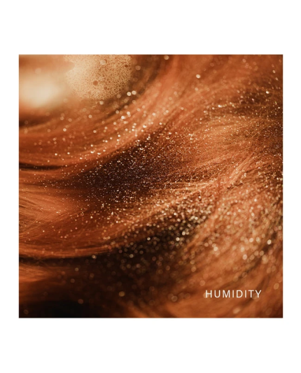 5 - La Brume Bouclier Protection