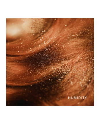 5 - La Brume Bouclier Protection