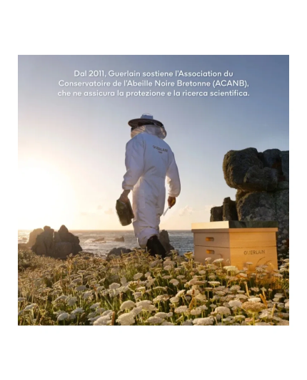 4 - Guerlain Set Abeille Royale Discovery Creme Jour 50ml