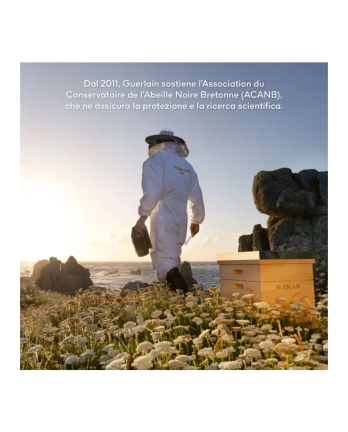 4 - Guerlain Set Abeille Royale Discovery Creme Jour 50ml