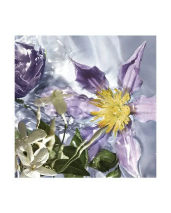 2 - AQUA ALLEGORIA FLORA SELVAGGIA - EAU DE TOILETTE Spray 125 ML