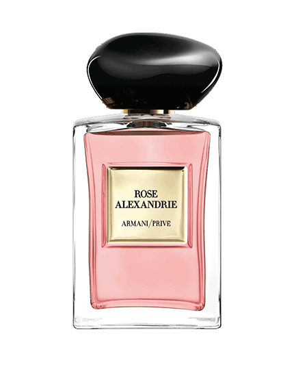 1 - ROSE ALEXANDRIE