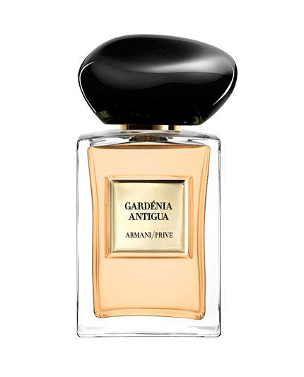 1 - GARDÉNIA ANTIGUA