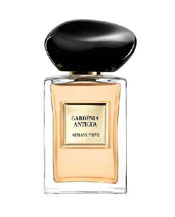 1 - GARDÉNIA ANTIGUA