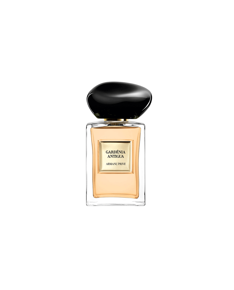 1 - GARDÉNIA ANTIGUA
