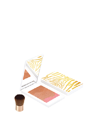 1 - PHYTO-TOUCHE POUDRE ÉCLAT SOLEIL