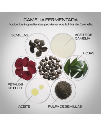 Ultimune Power Infusing Siero 120 ml – Siero Viso Anti-Età Illuminante