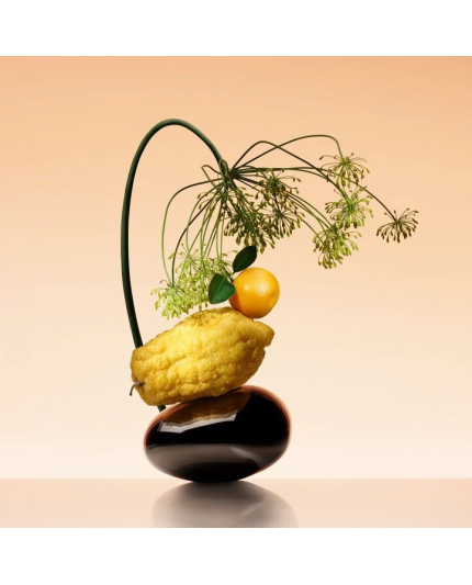 Orange Mediterranée Eau de Toilette 50ml - Profumo Agrumato Mediterraneo Luminoso