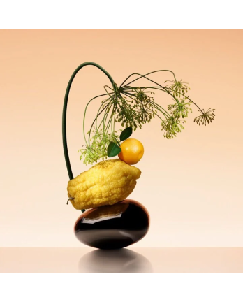 Orange Mediterranée Eau de Toilette 50ml - Profumo Agrumato Mediterraneo Luminoso